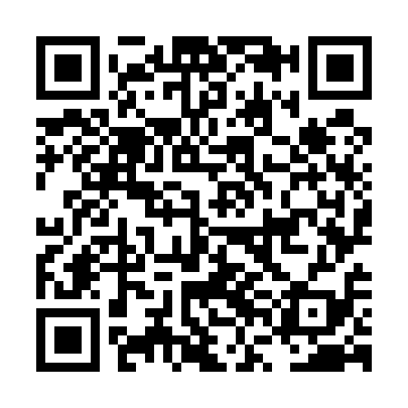QR code for LVO519