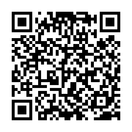 QR code for LYY495