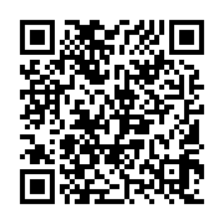 QR code for LZM819