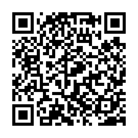 QR code for LZN601
