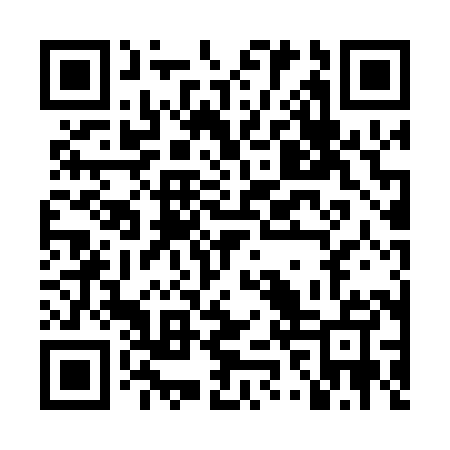 QR code for LZP085
