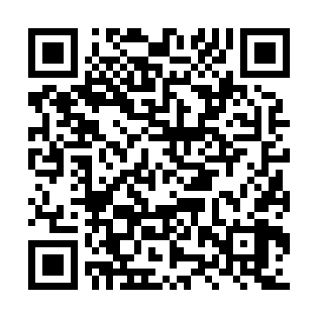 QR code for LZV868