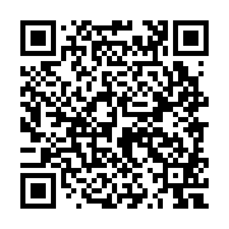 QR code for LZX381