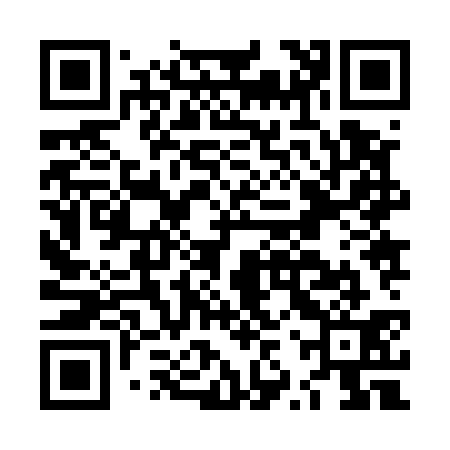 QR code for LZZ531