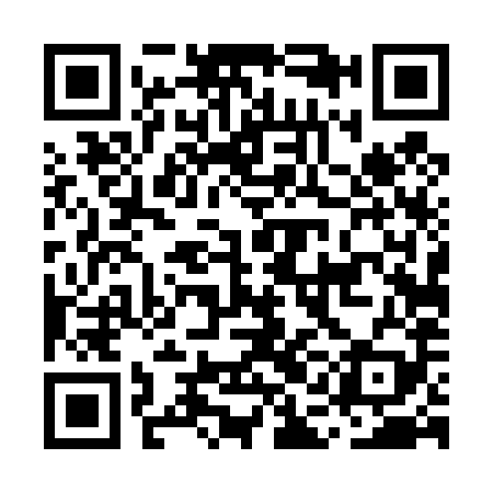 QR code for MAD489