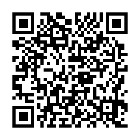 QR code for MAX375