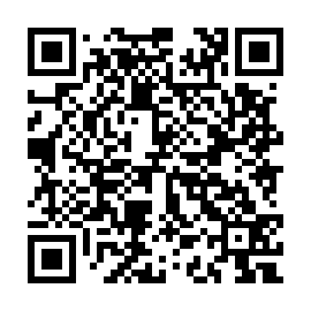 QR code for MAX533