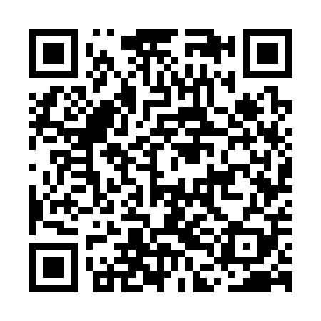 QR code for MDG309