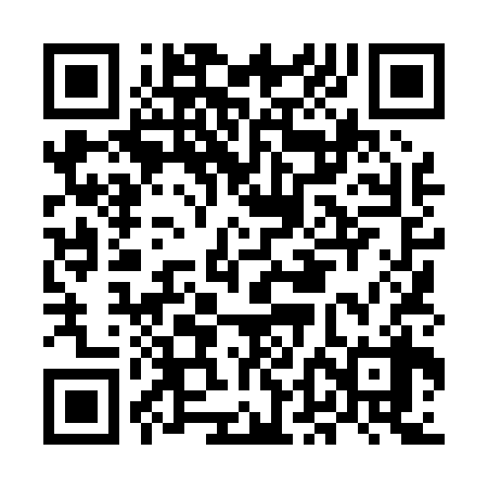 QR code for MDL038