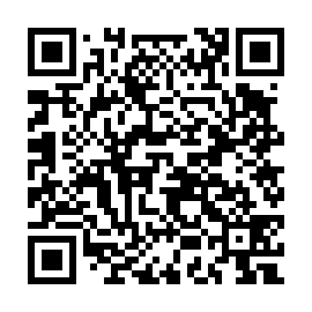 QR code for MEG439