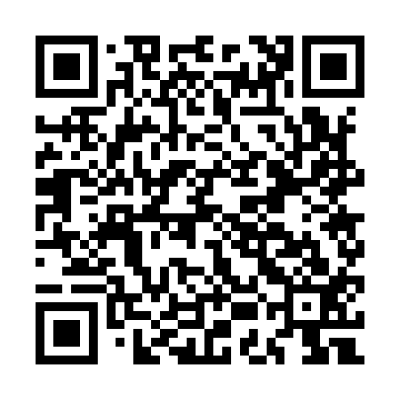 QR code for MEG913