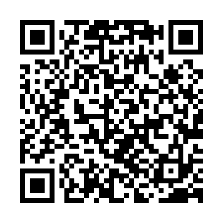 QR code for MFL133