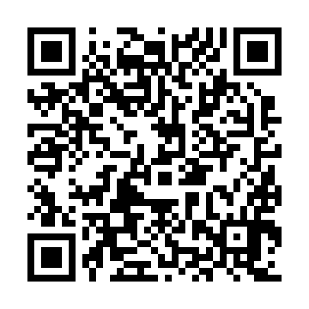 QR code for MJV294