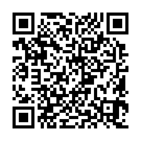 QR code for MMM381