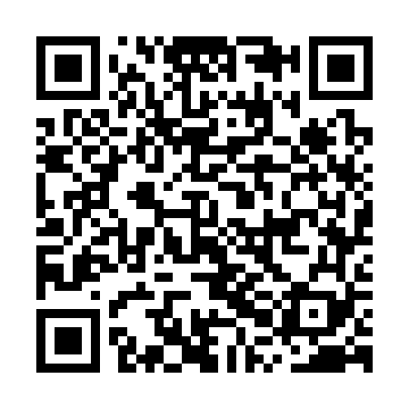 QR code for MPG369