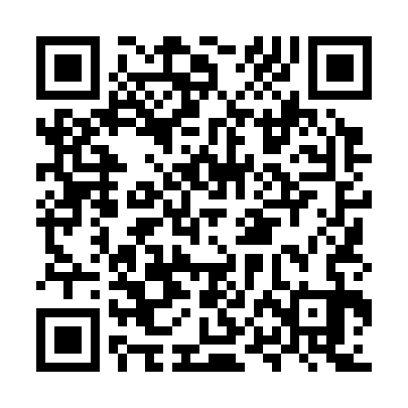 QR code for MPL333