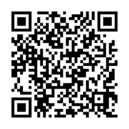 QR code for MZI413