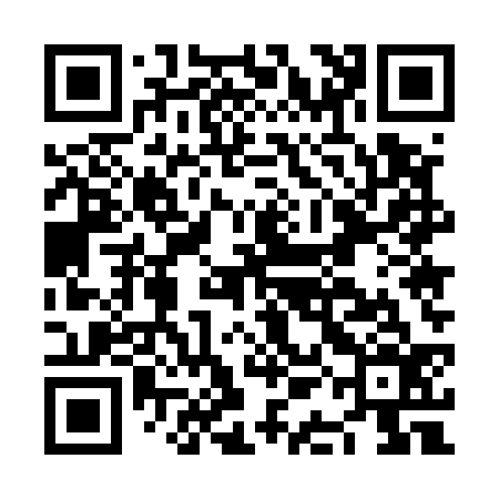 QR code for NAE536