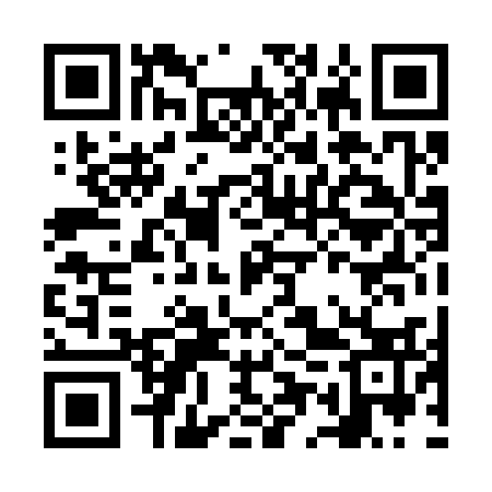 QR code for NEP333