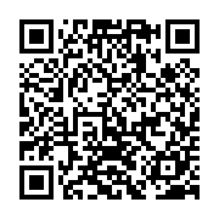 QR code for NES005