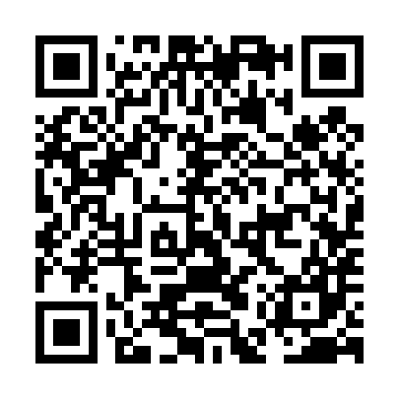 QR code for NES487