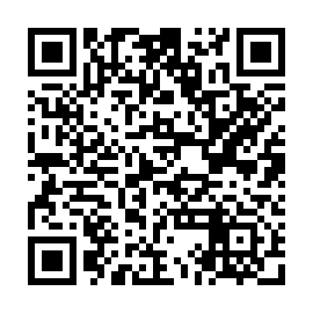 QR code for NIB313