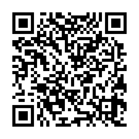 QR code for NKG339