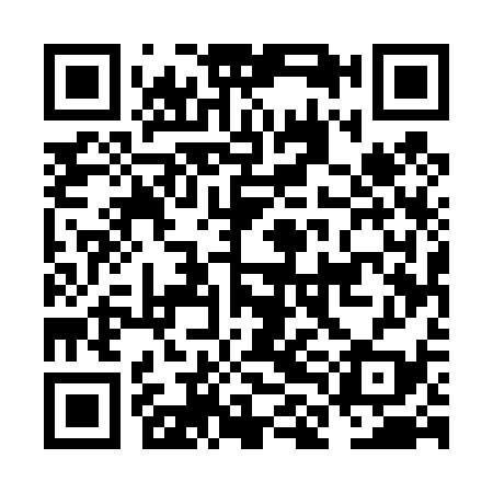 QR code for NLE439