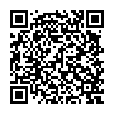 QR code for NNG486