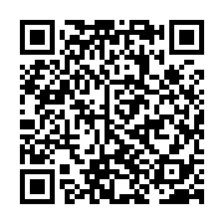 QR code for NNI938