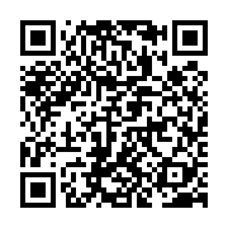 QR code for NNS529
