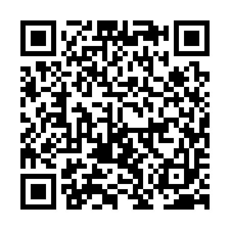 QR code for NOU393