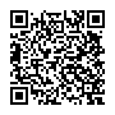 QR code for NPC453