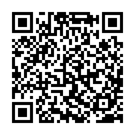 QR code for NPP385