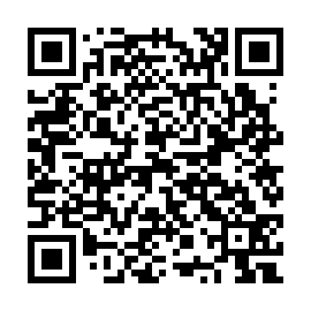 QR code for NPW333