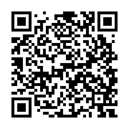 QR code for NQV383