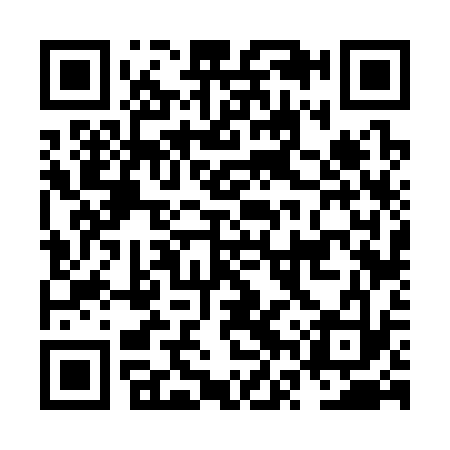 QR code for NVV333