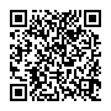 QR code for NYN382