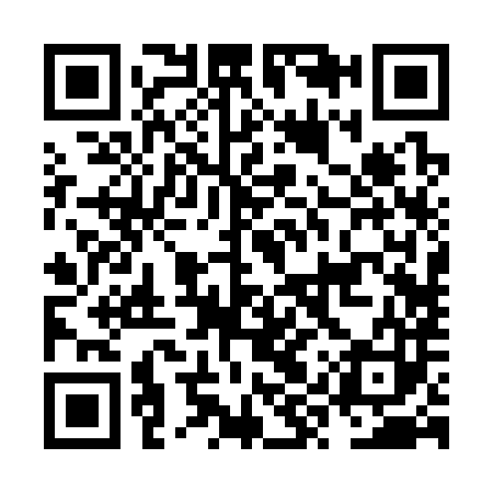 QR code for NYR383