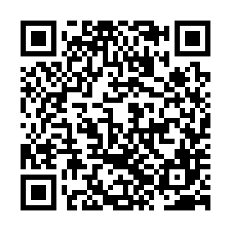 QR code for NZG386