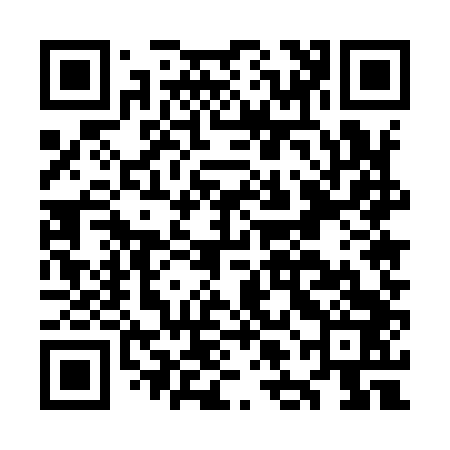 QR code for OLE943
