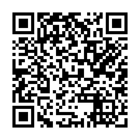 QR code for OMG381