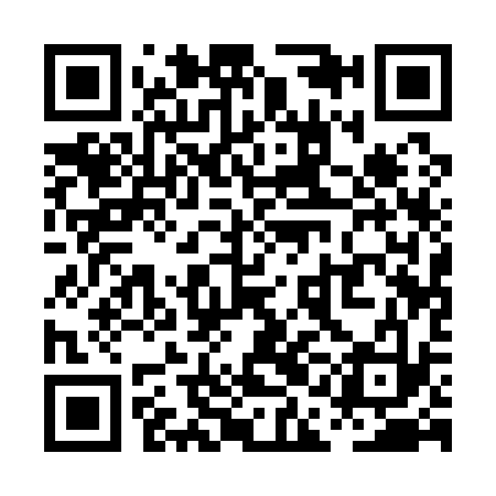 QR code for PAA133