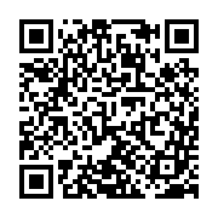 QR code for PAA243