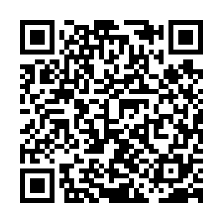QR code for PAE675