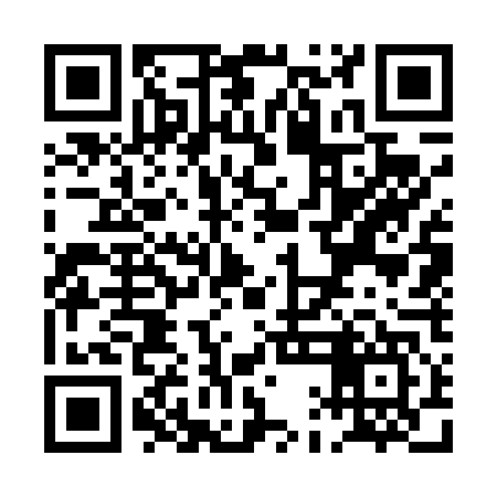 QR code for PAG447