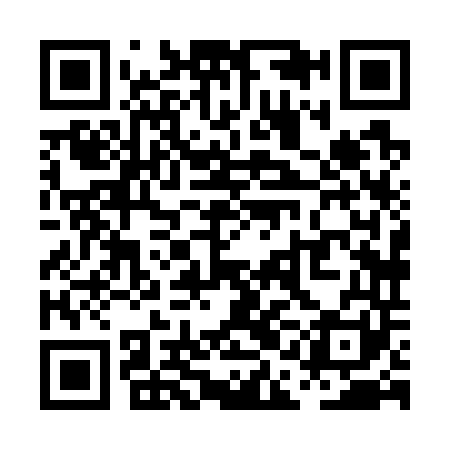 QR code for PAH741