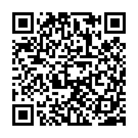 QR code for PAI451