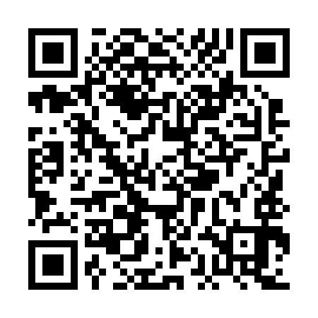 QR code for PAL293
