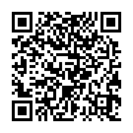 QR code for PCG333